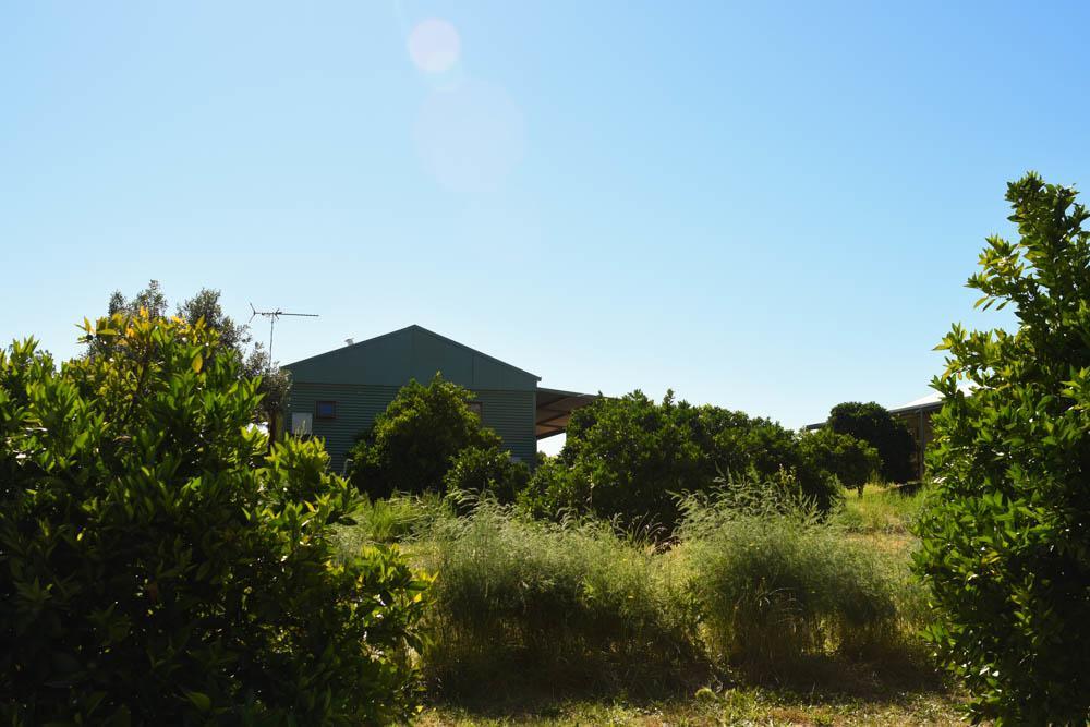Henley Brook Swan Valley Sisters מראה חיצוני תמונה