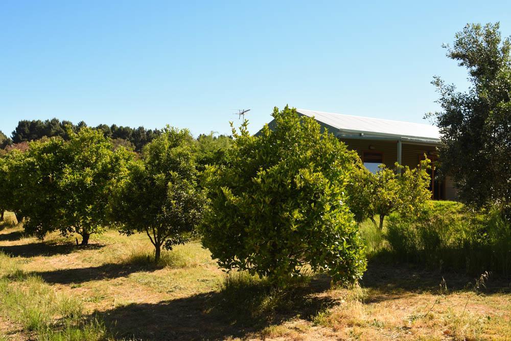 Henley Brook Swan Valley Sisters מראה חיצוני תמונה