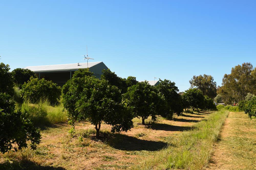 Henley Brook Swan Valley Sisters מראה חיצוני תמונה