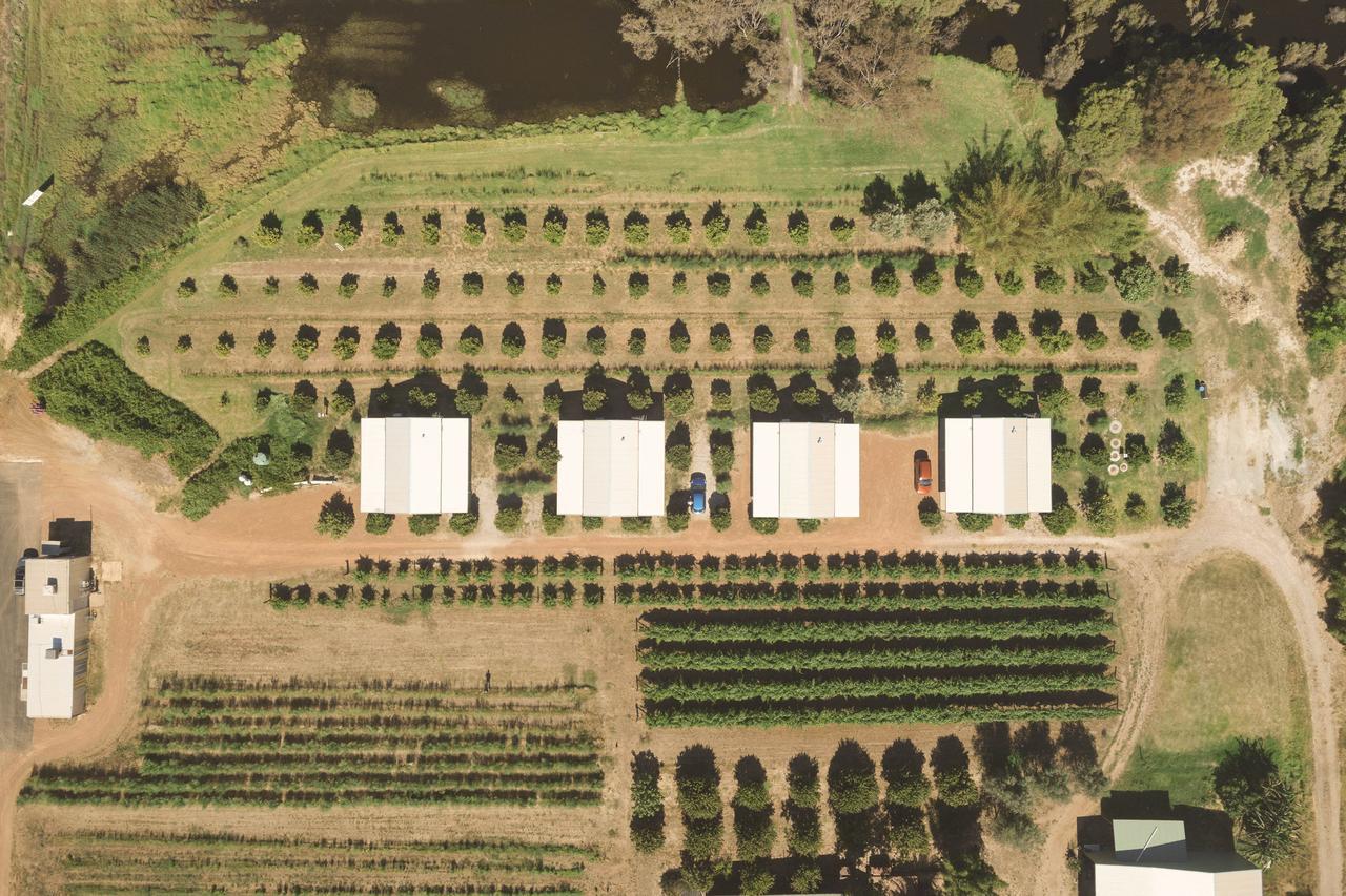 Henley Brook Swan Valley Sisters מראה חיצוני תמונה