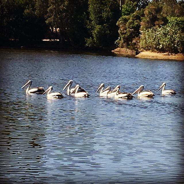 Henley Brook Swan Valley Sisters מראה חיצוני תמונה